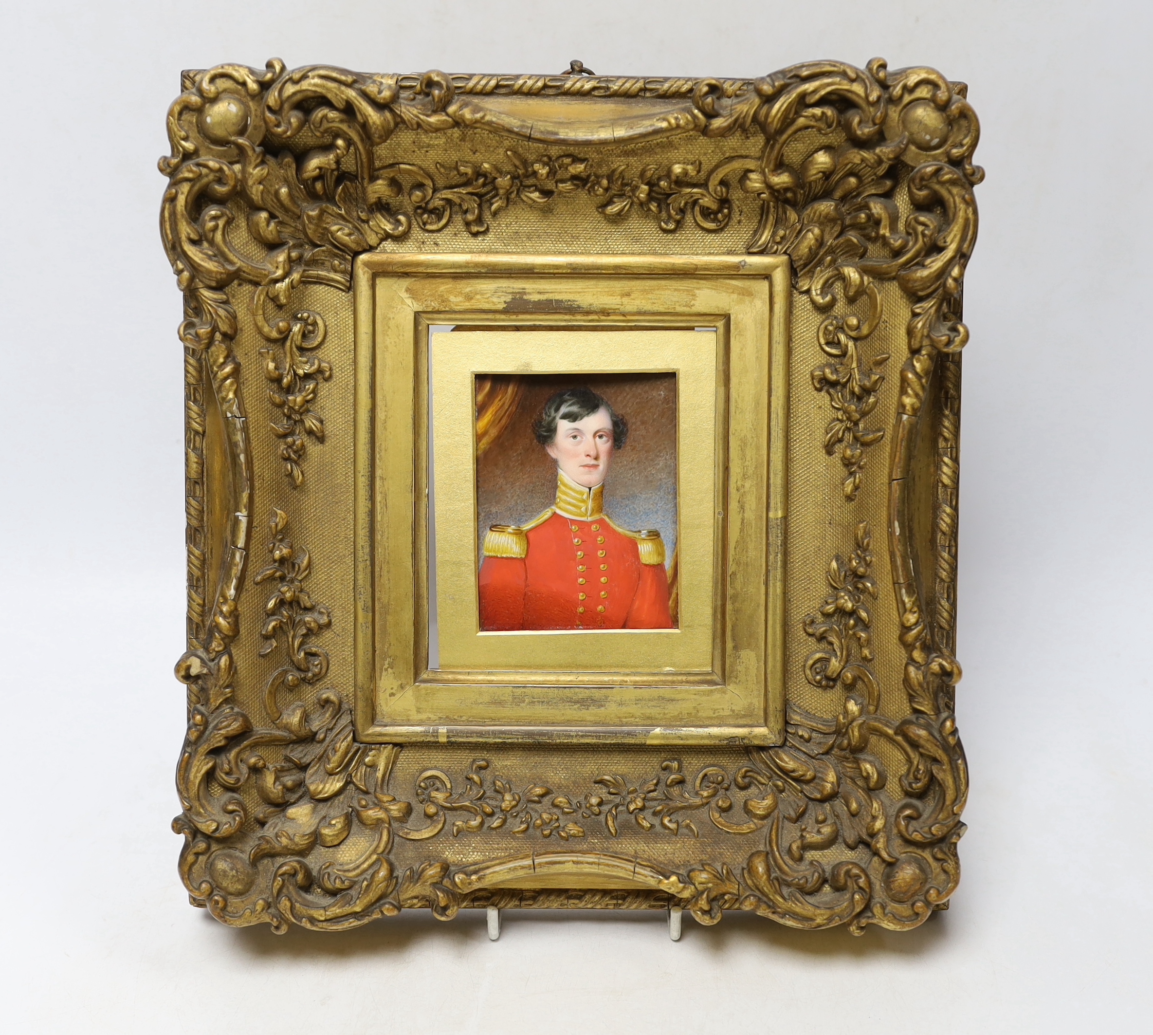 Early 19th century English school, watercolour portrait miniature on ivory of a gentleman wearing military dress, ornate gilt frame, 8.5 x 6.5cm CITES Submission reference: SKYZGXDW